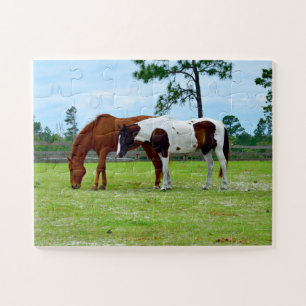 Beautiful Horses at a ranch Jigsaw Puzzle