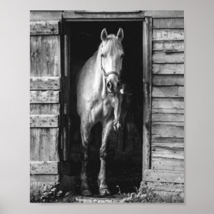 Beautiful Horses Black and White Rustic Farmhouse Poster