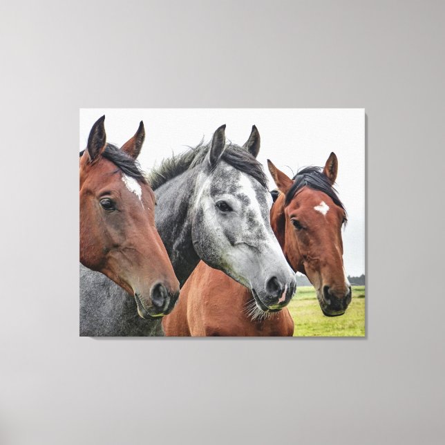 Beautiful horses canvas print (Front)