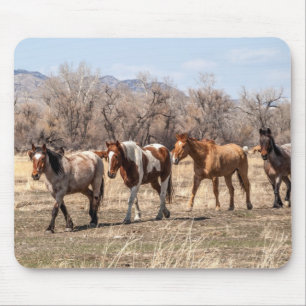 Beautiful Horses in a Pasture Mouse Pad