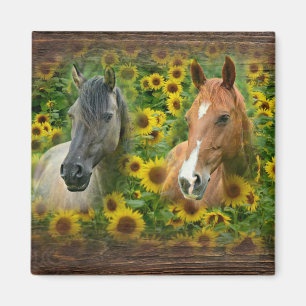 Beautiful Horses in Field of Sunflowers Magnet
