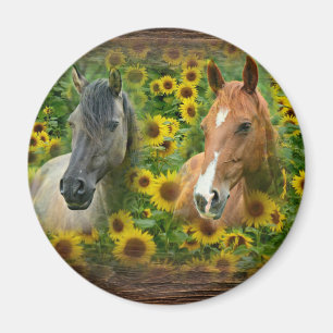 Beautiful Horses in Field of Sunflowers Magnet