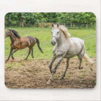 Beautiful Horses Mouse Pad
