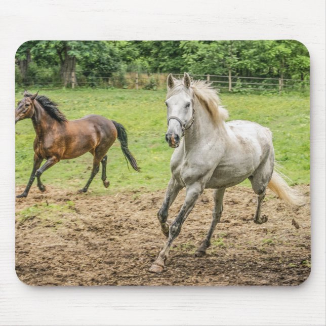 Beautiful Horses Mouse Pad (Front)