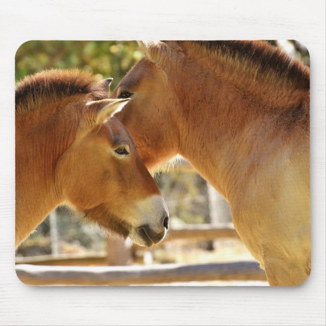 Beautiful Horses Mouse Pad (Front)