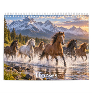 Beautiful Horses Scenic Horse Calendar