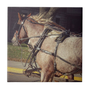 Beautiful Horses Tile