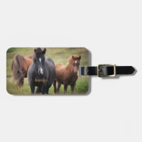 Beautiful Horses with Name