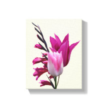 Beautiful hot pink tulip modern floral fine art 