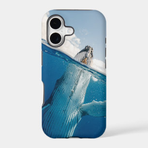 Beautiful Huge Whale