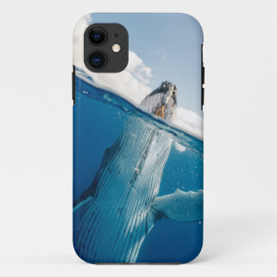 Beautiful Huge Whale Case-Mate iPhone Case