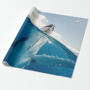 Beautiful Huge Whale Wrapping Paper