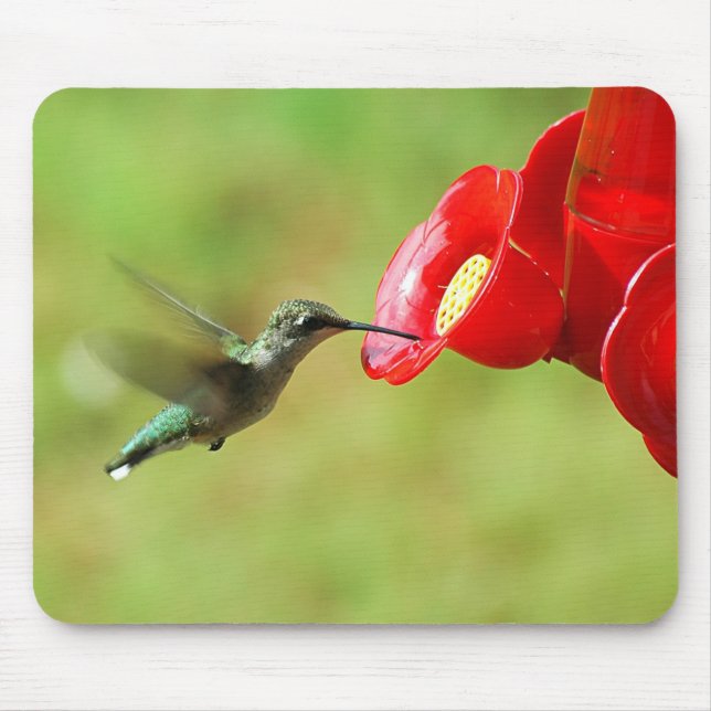 Beautiful Hummingbird Feeding Mouse Pad (Front)