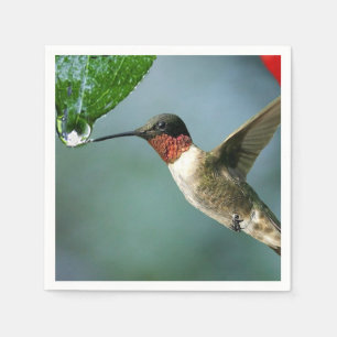Beautiful Hummingbird Nature Scenery Napkin