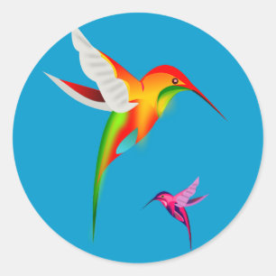 Beautiful Hummingbirds (Colibri) Classic Round Sticker