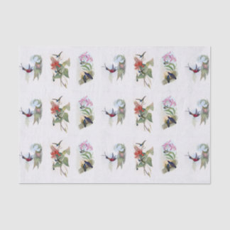 Beautiful Hummingbirds Vintage Art Tissue Paper
