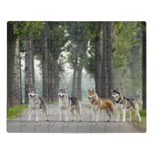 Beautiful Husky Dogs on a Nature Trail Jigsaw Puzzle