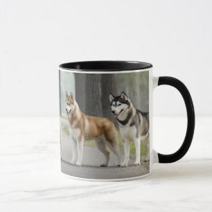 Beautiful Husky Dogs on a Nature Trail Mug