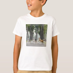 Beautiful Husky Dogs on a Nature Trail T-Shirt