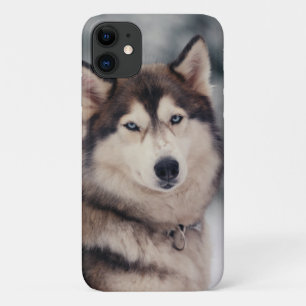 Beautiful Husky in the Outdoors Case-Mate iPhone Case