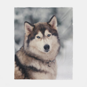 Beautiful Husky in the Outdoors Fleece Blanket