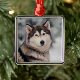 Beautiful Husky in the Outdoors Metal Tree Decoration