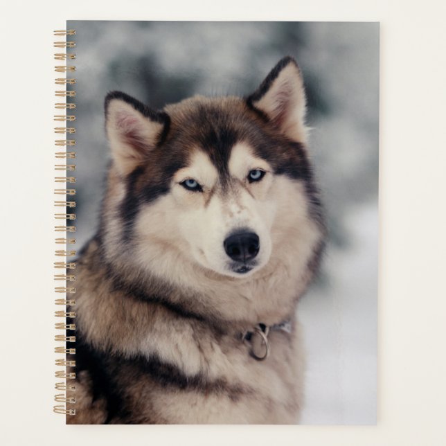 Beautiful Husky in the Outdoors Planner (Front)