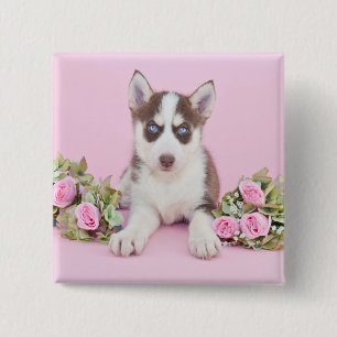 Beautiful Husky Puppy with Pink Roses 15 Cm Square Badge