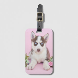 Beautiful Husky Puppy with Pink Roses Luggage Tag