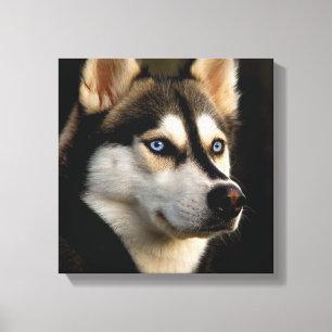 Beautiful Husky Throw Pillow Canvas Print