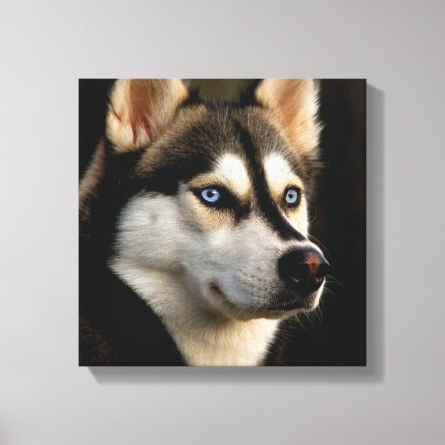 Beautiful Husky Throw Pillow Canvas Print (Front)