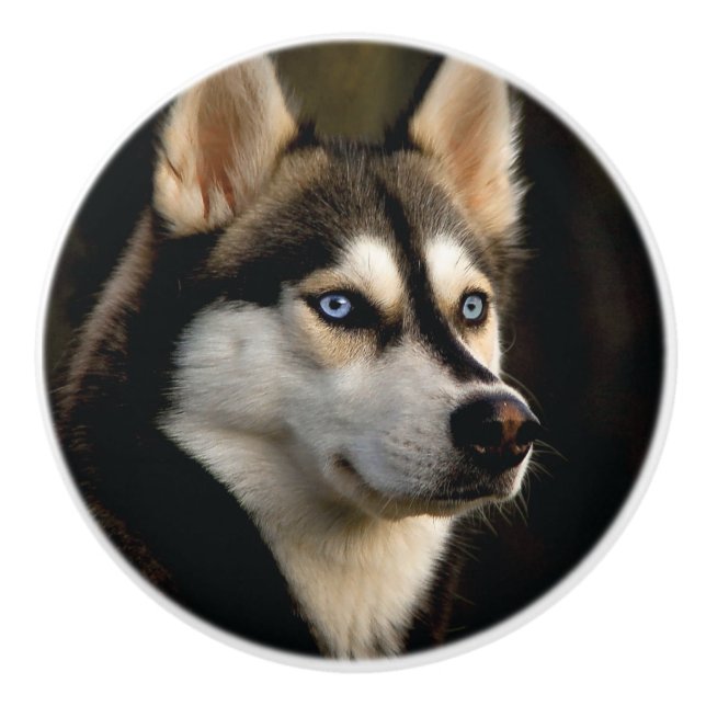 Beautiful Husky Throw Pillow Ceramic Knob (Front)