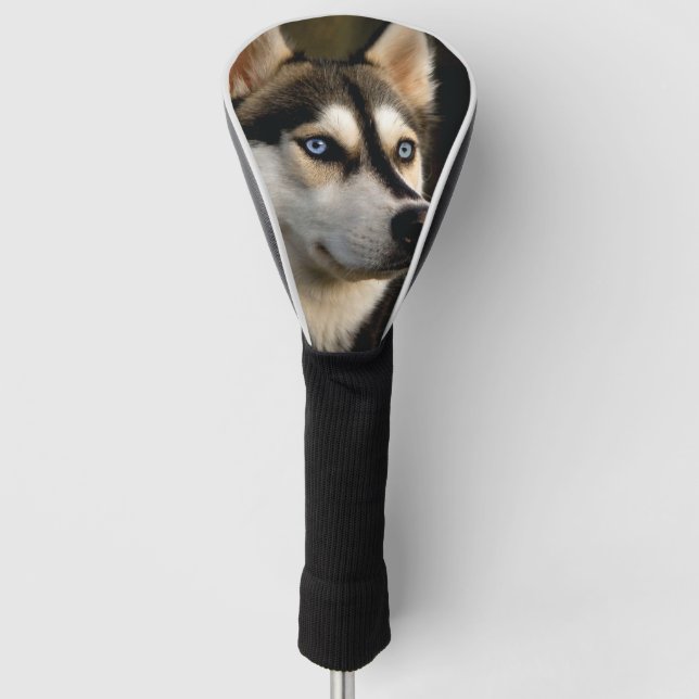 Beautiful Husky Throw Pillow Golf Head Cover (Front)
