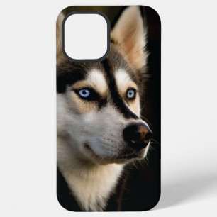 Beautiful Husky Throw Pillow iPhone 12 Pro Max Case