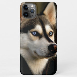 Beautiful Husky Throw Pillow iPhone 11Pro Max Case