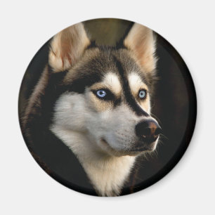 Beautiful Husky Throw Pillow Magnet