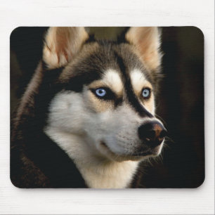 Beautiful Husky Throw Pillow Mouse Pad