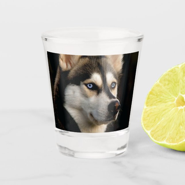 Beautiful Husky Throw Pillow Shot Glass (Front)