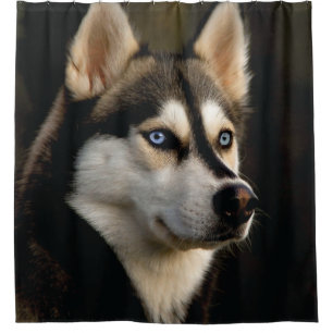 Beautiful Husky Throw Pillow Shower Curtain