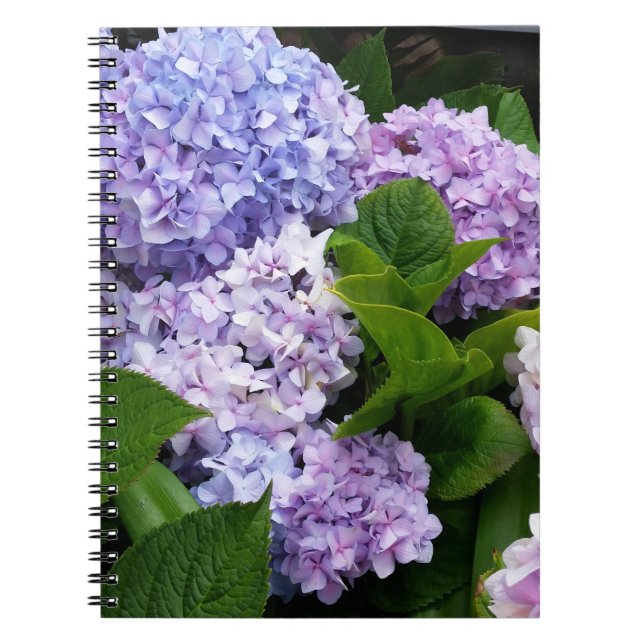 Beautiful Hydrangeas - Spiral Photo Notebook (Front)