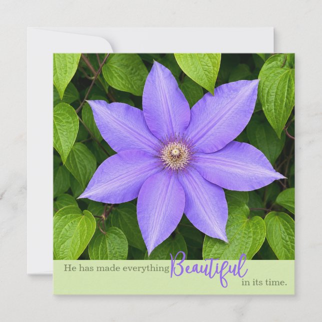 Beautiful in Its Time | Purple Clematis (Front)