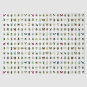 Beautiful insect collection watercolor style bugs tissue paper