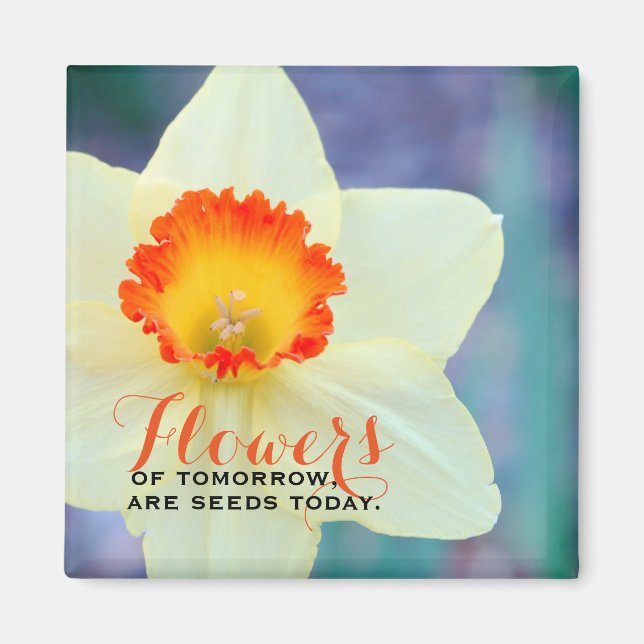 Beautiful Inspirational Daffodil Magnet (Front)