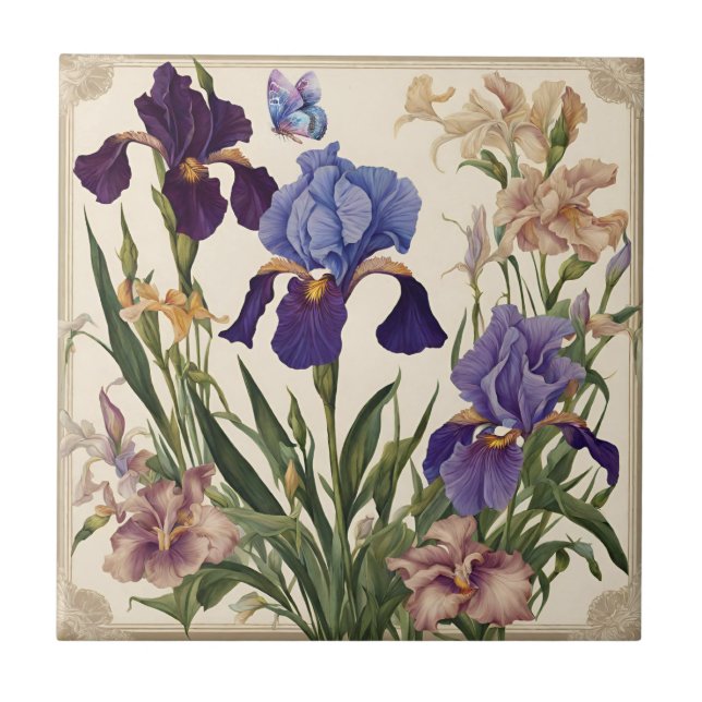 Beautiful Iris Flower Blooms  Tile (Front)