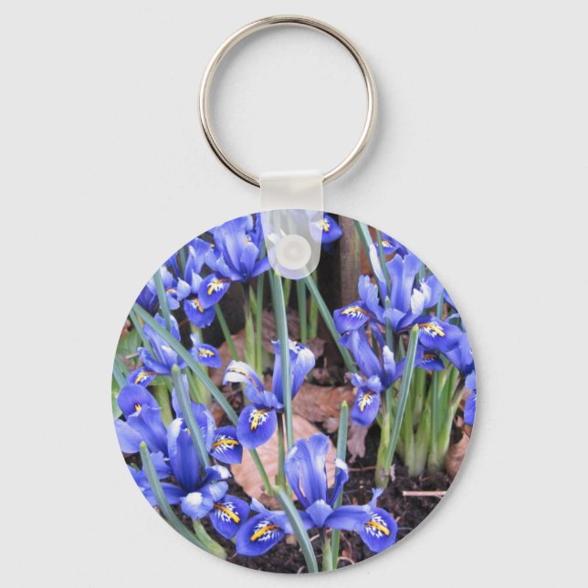 BEAUTIFUL IRIS KEY RING (Front)