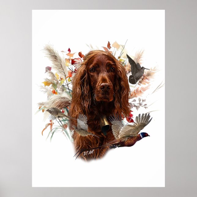 Beautiful Irish Red Setter Poster (Front)
