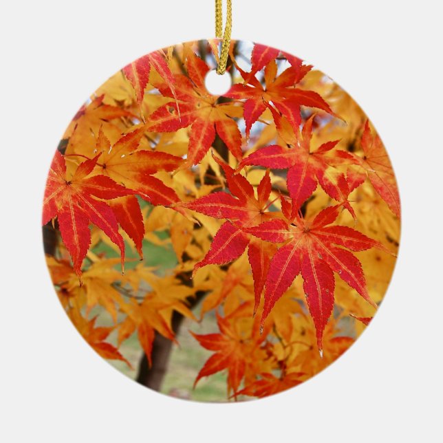 beautiful japanese maple tree in fall ceramic tree decoration (Front)