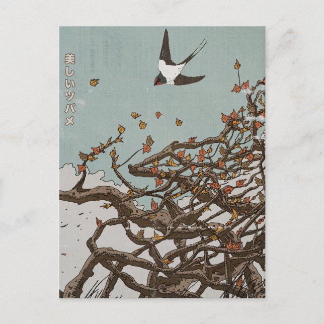 Beautiful Japanese Swallow  Postcard (Front)