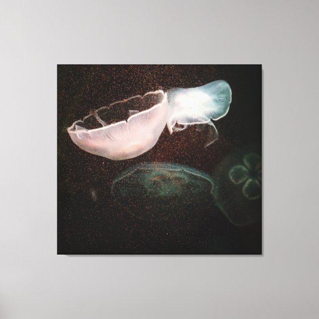 Beautiful Jellyfish Canvas Print (Front)
