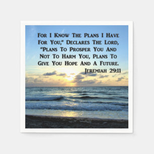 BEAUTIFUL JEREMIAH 29:11 BLUE SKIES NAPKIN